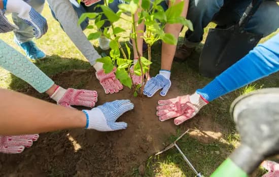 Volunteerism - Lanjekar Holdings