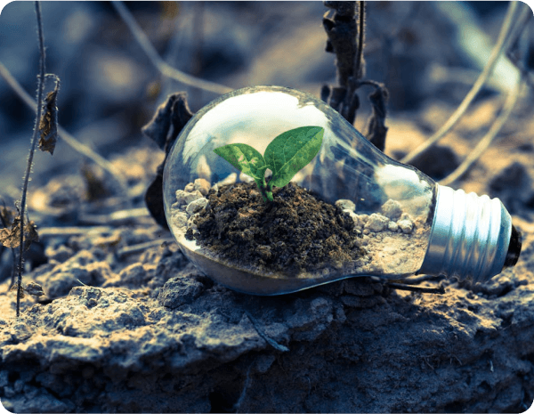 Environmental Stewardship - Lanjekar Holdings